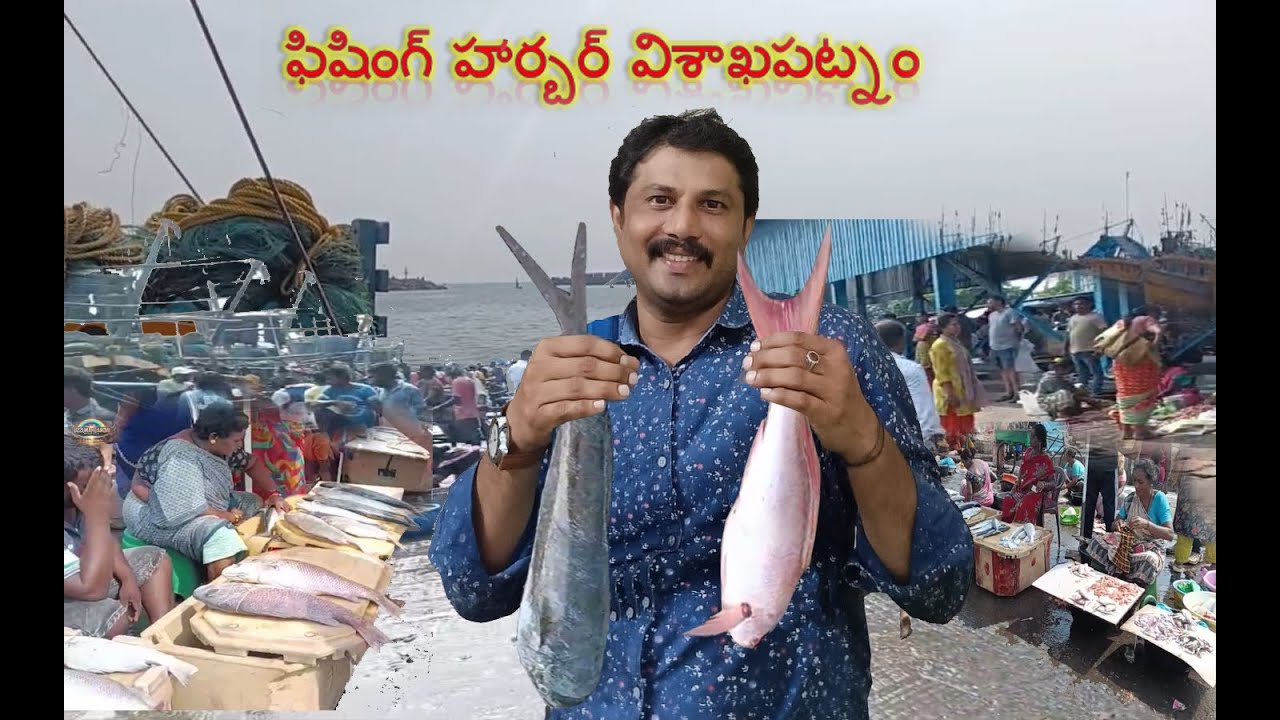 ఫిషింగ్ హార్బర్#Fishing Harbour #Vizag