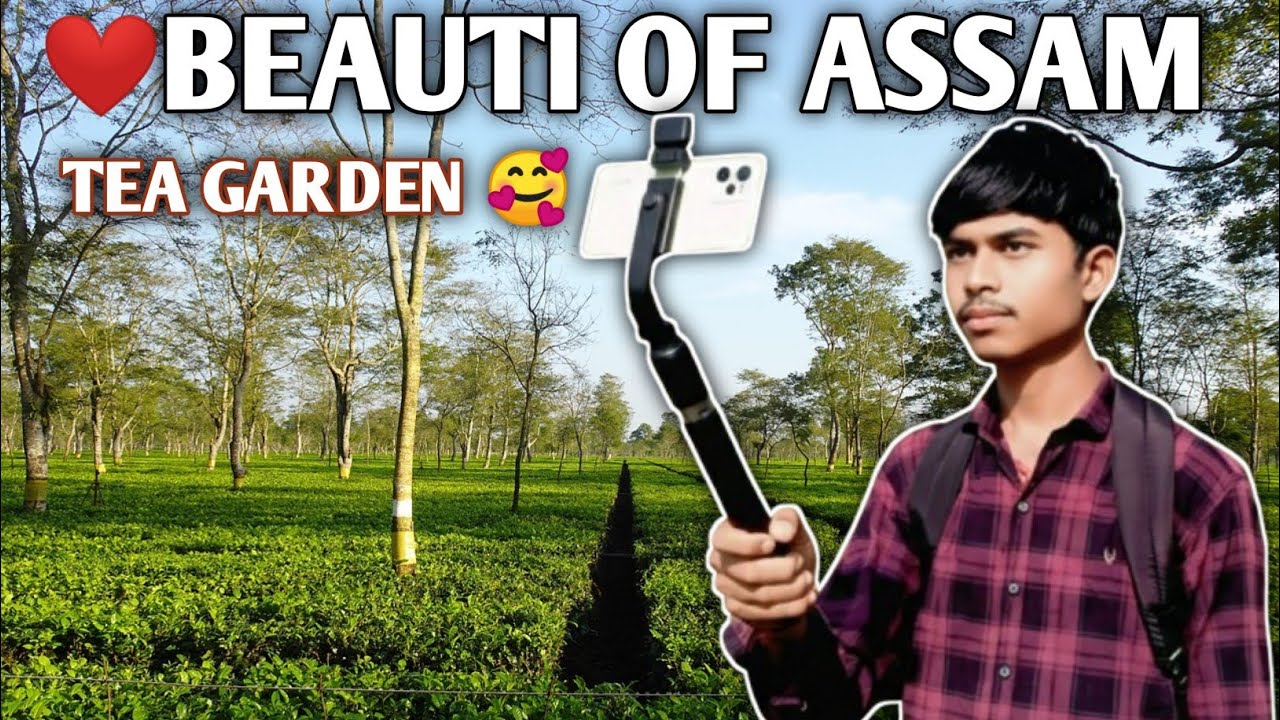 ​Assam Ki Khoobsurat Tea Garden 🌿 | My First Travel Vlog 2026