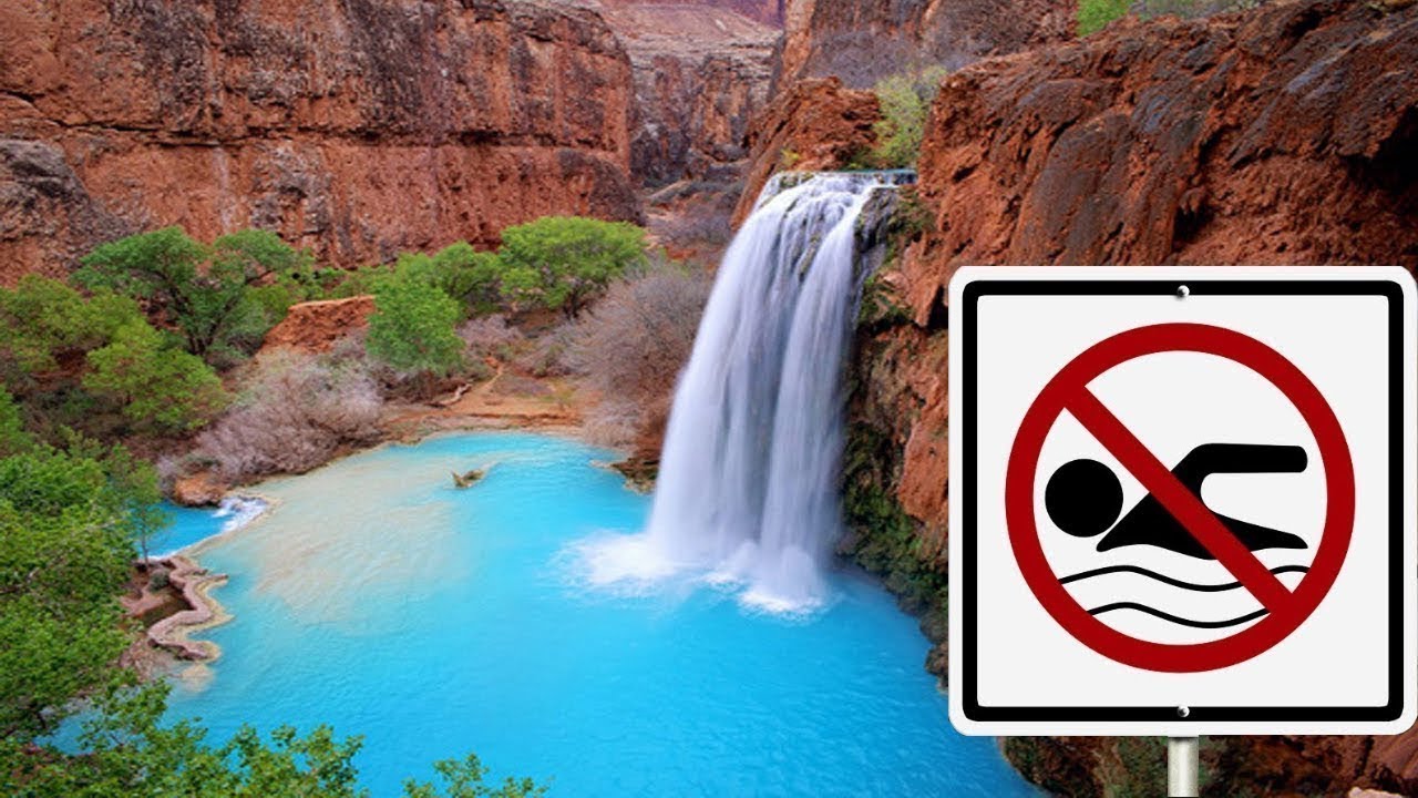 10 Lugares Donde Nunca Deberias Nadar Por Nada En El Mundo