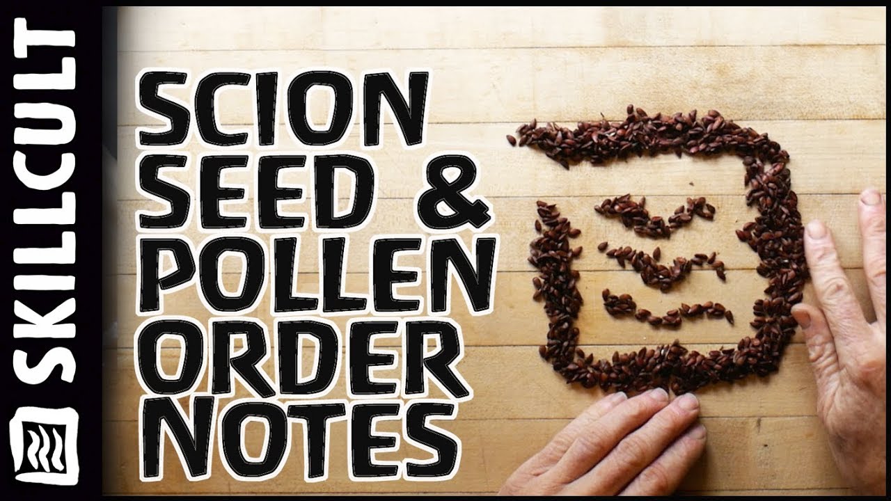 Notes for Apple Scion, Seed and Pollen Orders, Planting, Storage, Grafting, etc.