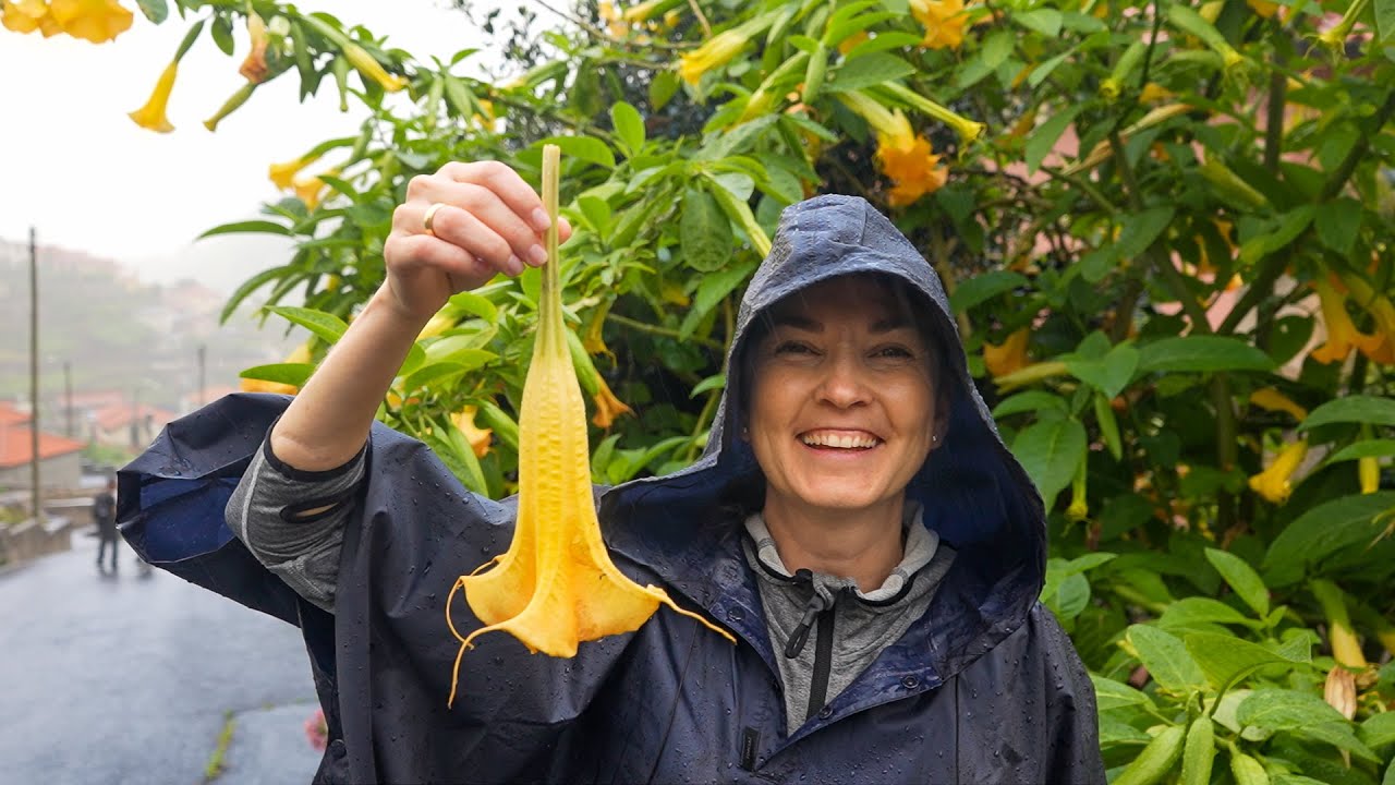 Hiking the local way in Madeira