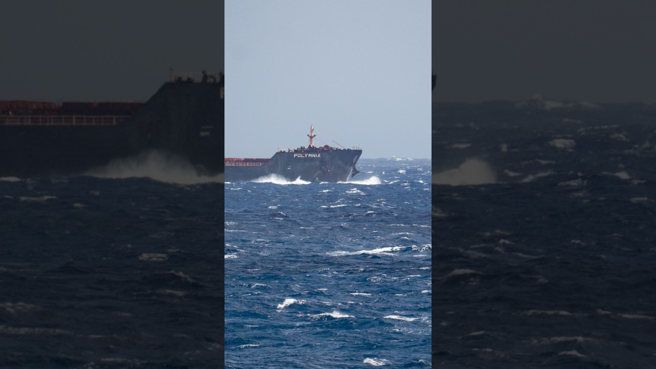 Cape size bulk carrier under way. #моряки #флот #крюинг #судоходство  #bulkcarrier ##shipping