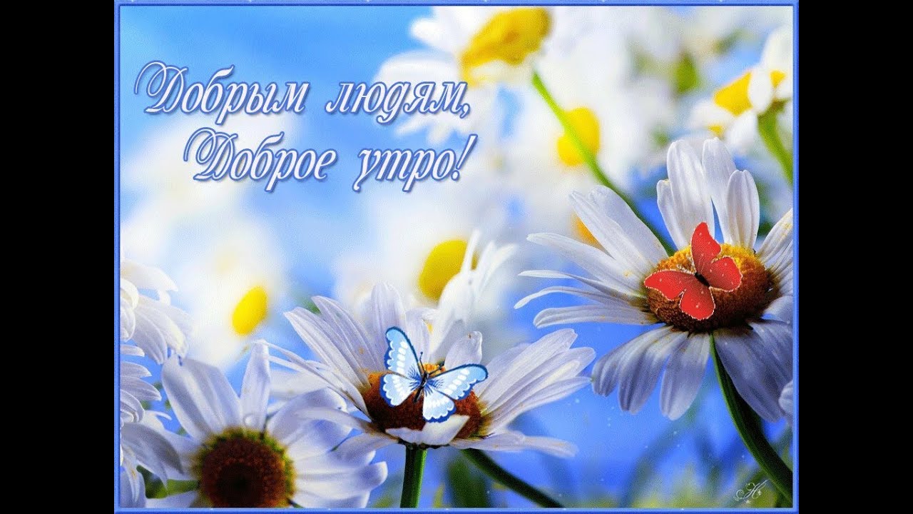 БАЛЛАДА О ЗАПАХАХ