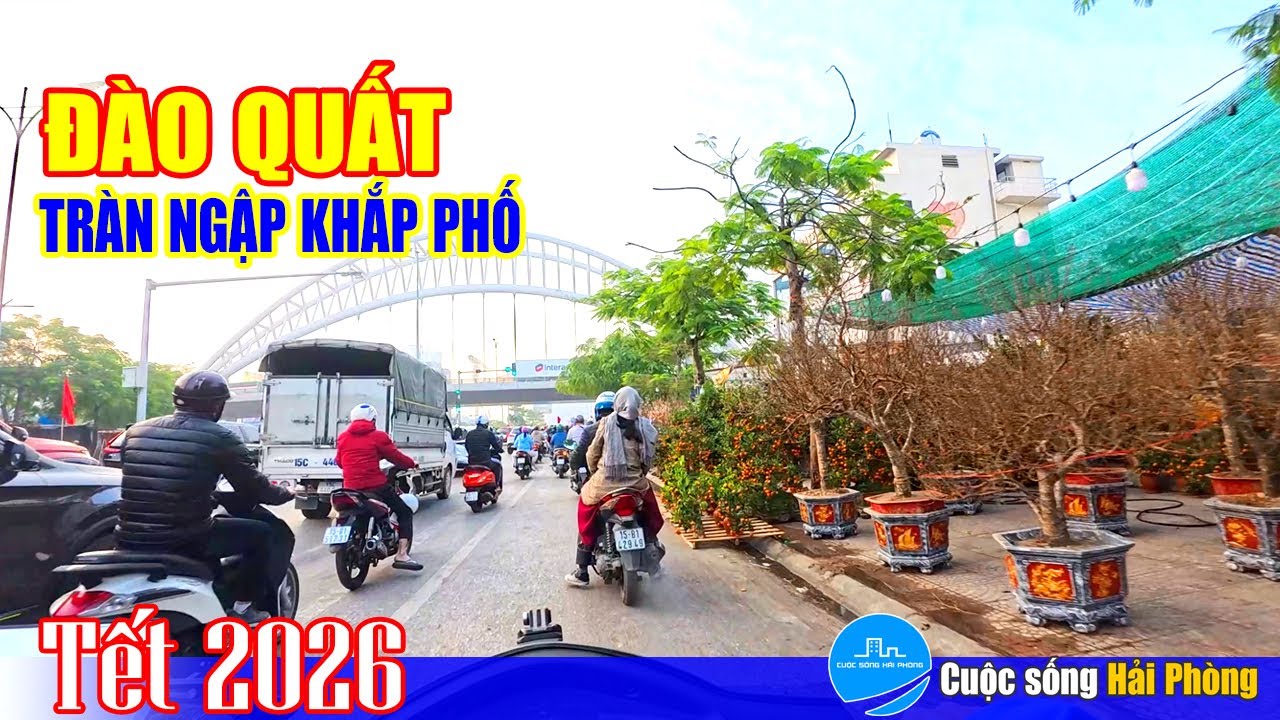 Ngày 17 Tết - đào quất tràn ngập khắp phố Hải Phòng