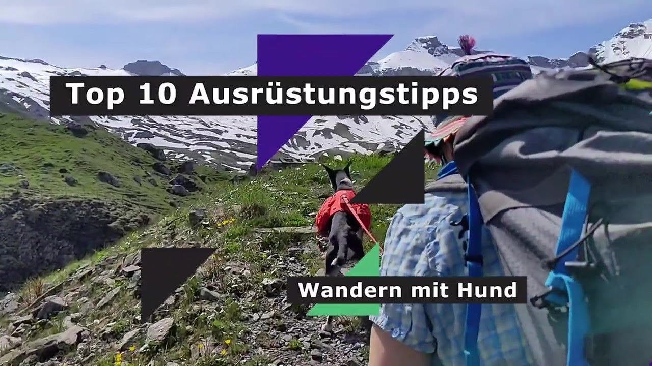 Wandern mit Hund   Top 10 Ausrüstungstipps