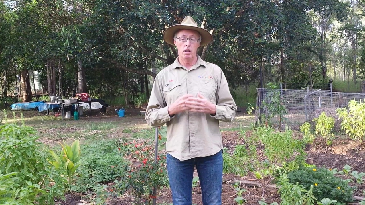Biodynamic gardening workshops - Peter Kearney of My Food Garden
