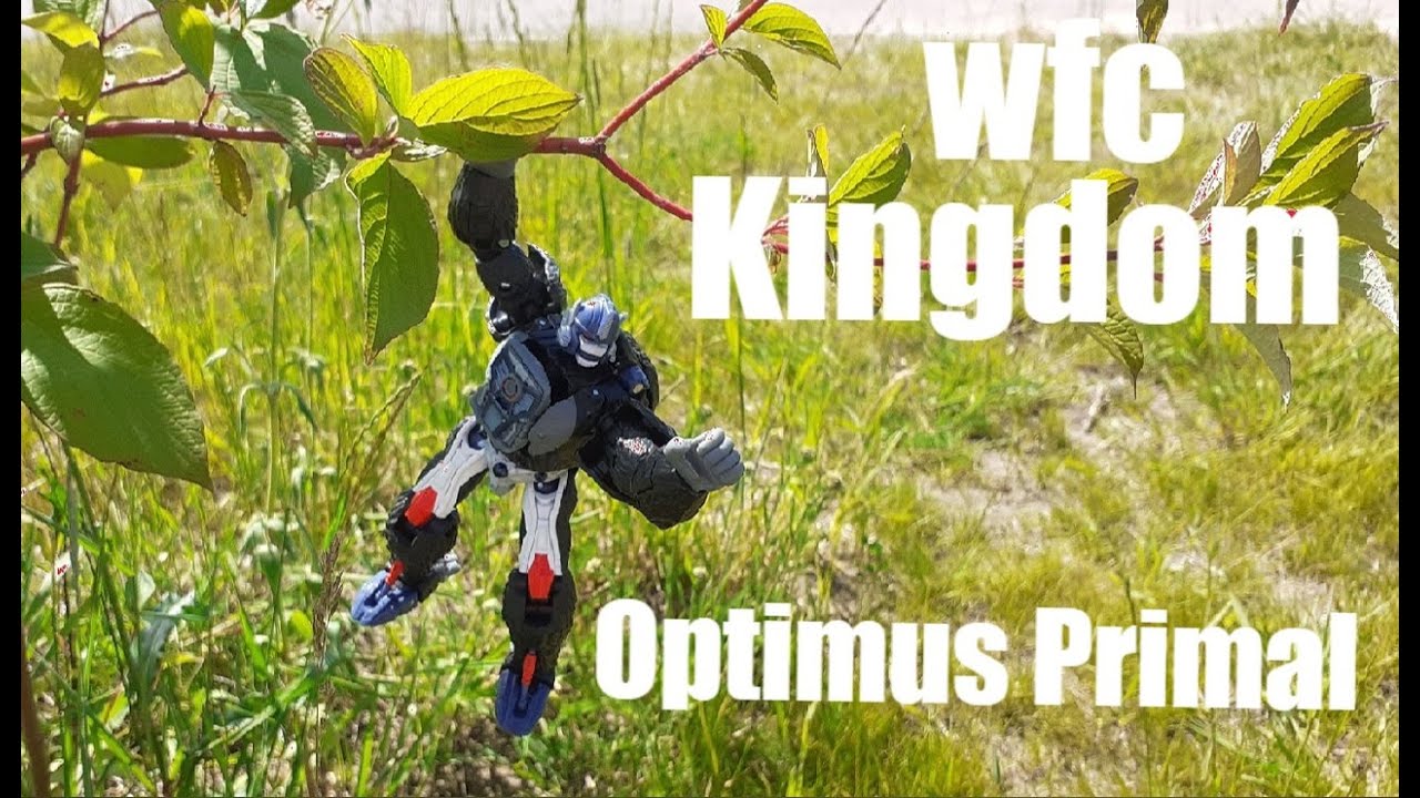 Transformers WFC KINGDOM Optimus Primal [ОБЗОР]