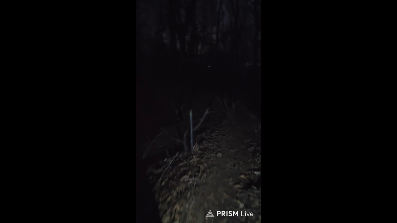 Live 951일차 아침맨발산행 in Korea!