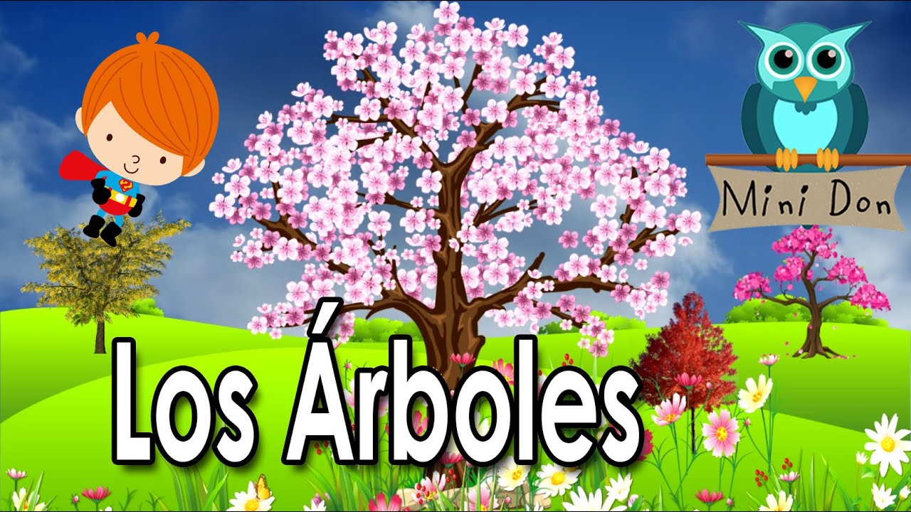 ¿Qué son los árboles? | Videos Educativos para Niños