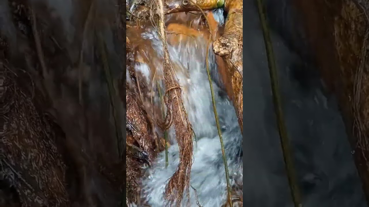 Som  Rio Água Correndo Entre Pedras  River Sounds for Deep Sleep Water Flowing Over Rocks (1 Hours)