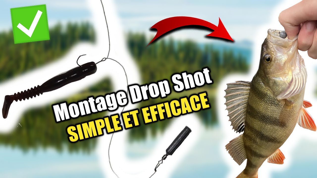 TUTO PÊCHE AU DROP SHOT (Montage et technique)