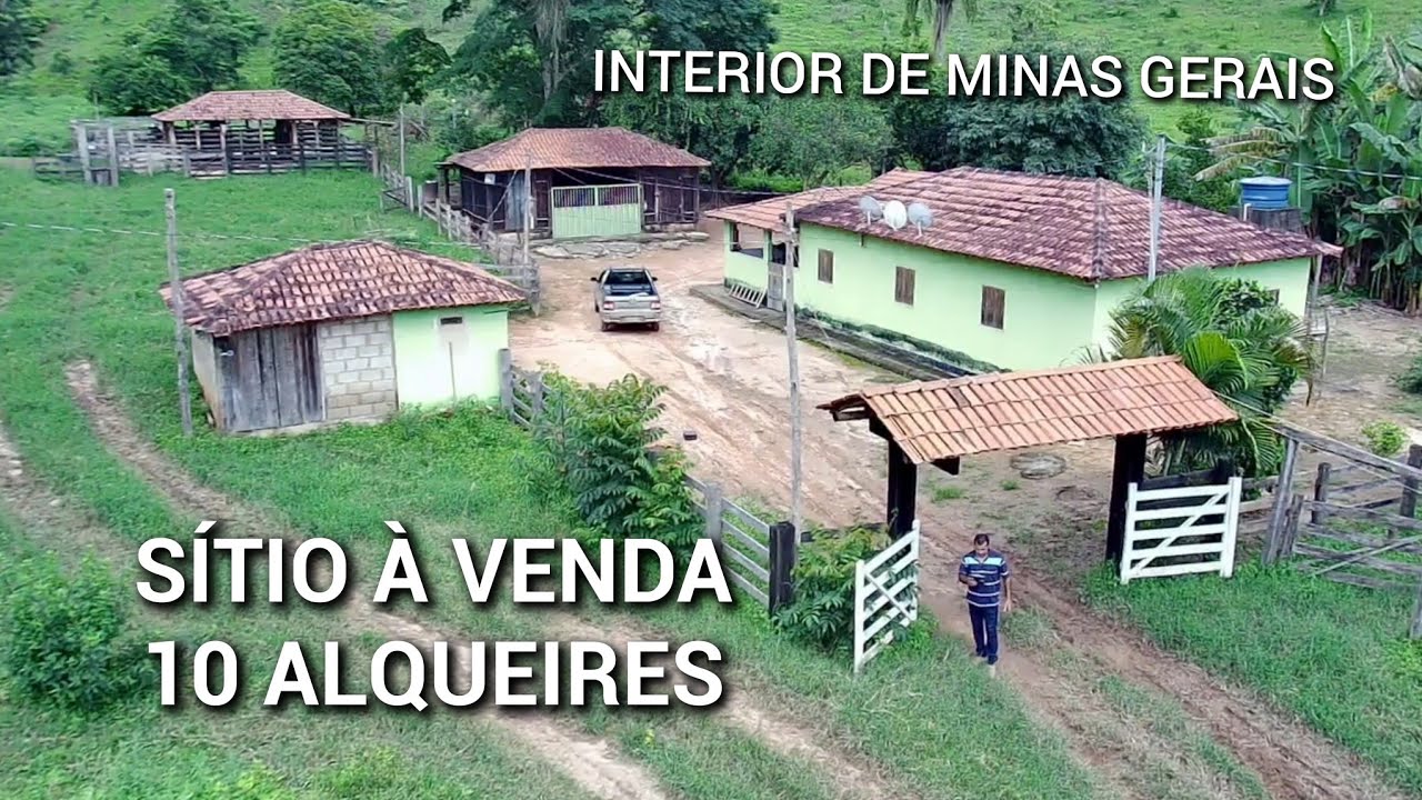 PROPRIEDADE | SÍTIO À VENDA DE 48.4 HECTARES , UM KM DE ESTRADA DE TERRA, EM FREI LAGONEGRO MG #roça