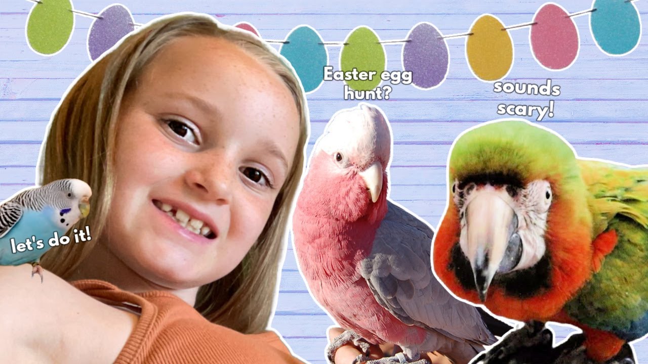 Easter For My Parrots!!
