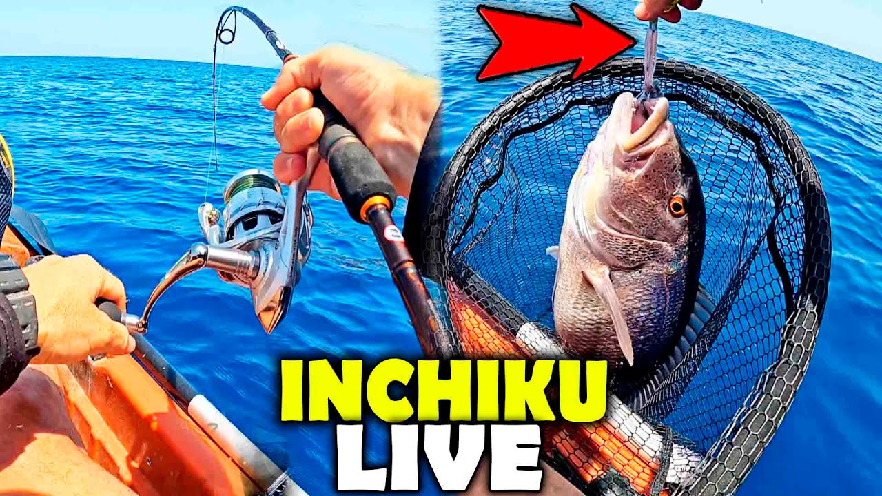 PESCA con INCHIKU LIVE ¡¡BRUTAL las 2 BESTIAS que SALIERON!!