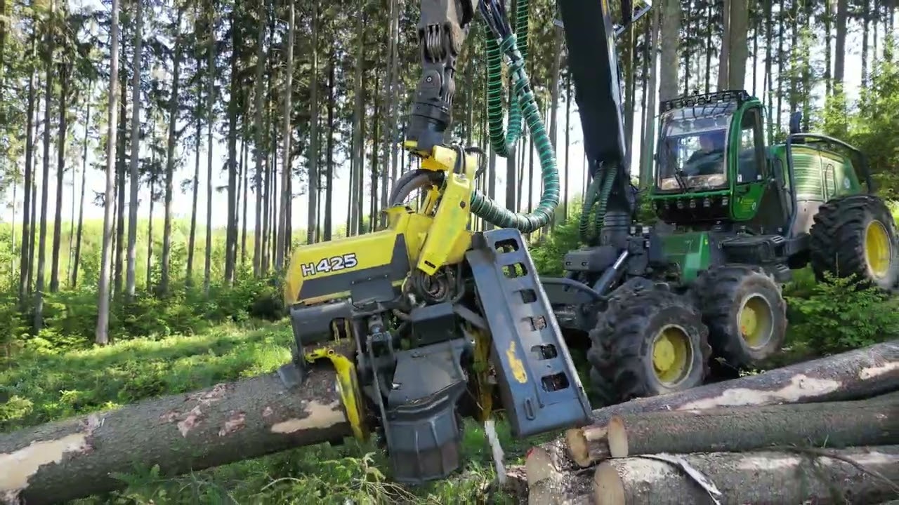 Holzernte mit einem H425