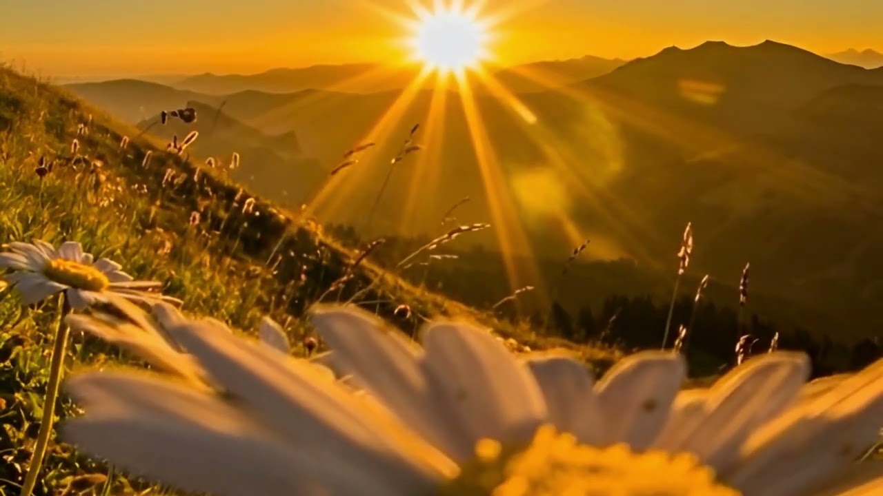 Sunrise Ambience 🌅 Relaxing Morning  & Golden Light for a Positive Start