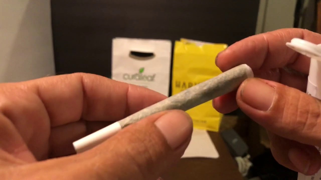 Mmj Florida: Curaleaf & Harvest Haul Smokable Flower 🌸 And Shatter