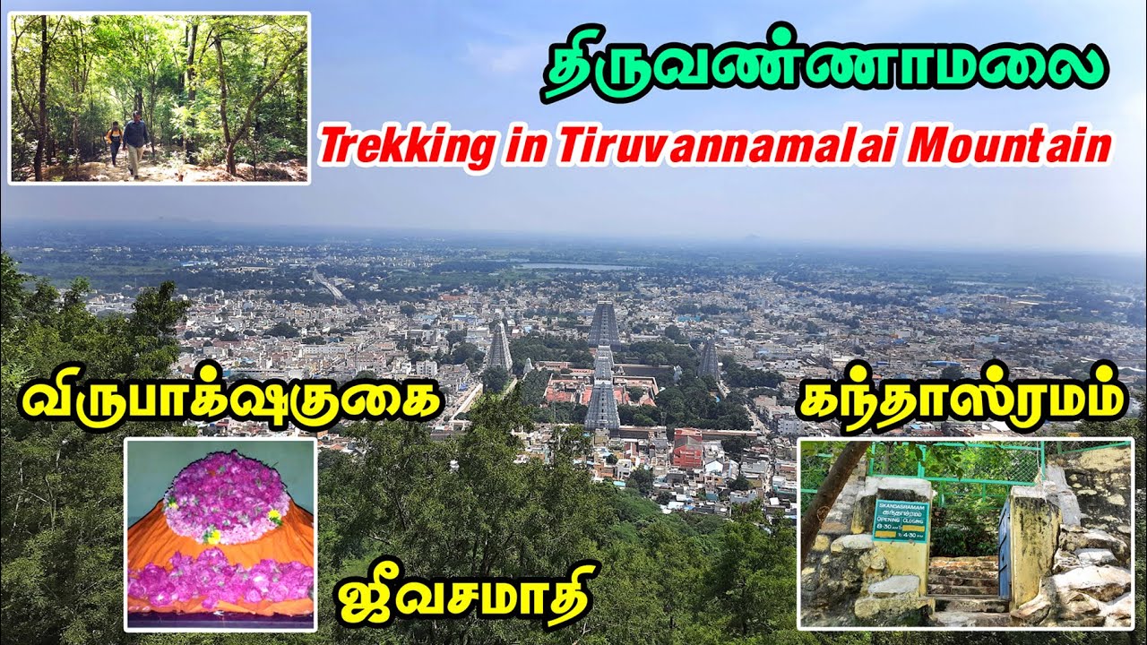 Trekking in Tiruvannamalai Mountain | Kandasramam | Virupaksha Cave | Nature lover