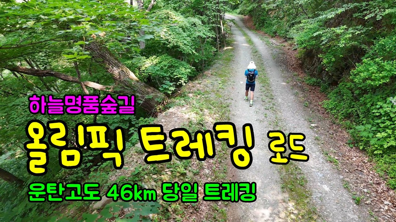 무더운 여름 최고의 트레킹 코스... 광부의 길 운탄고도(만항재~예미역)를 걷다