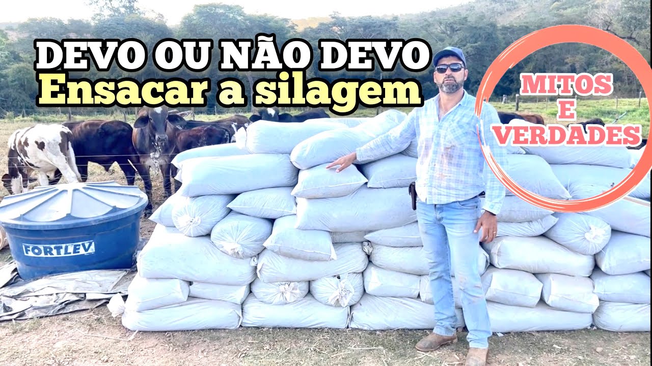 SILAGEM ENSACADA MITOS E VERDADES