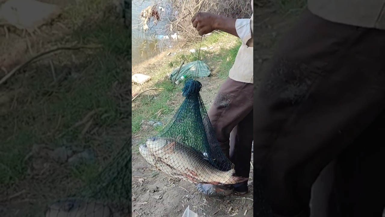 Excellent Fishing video 🎣🐠