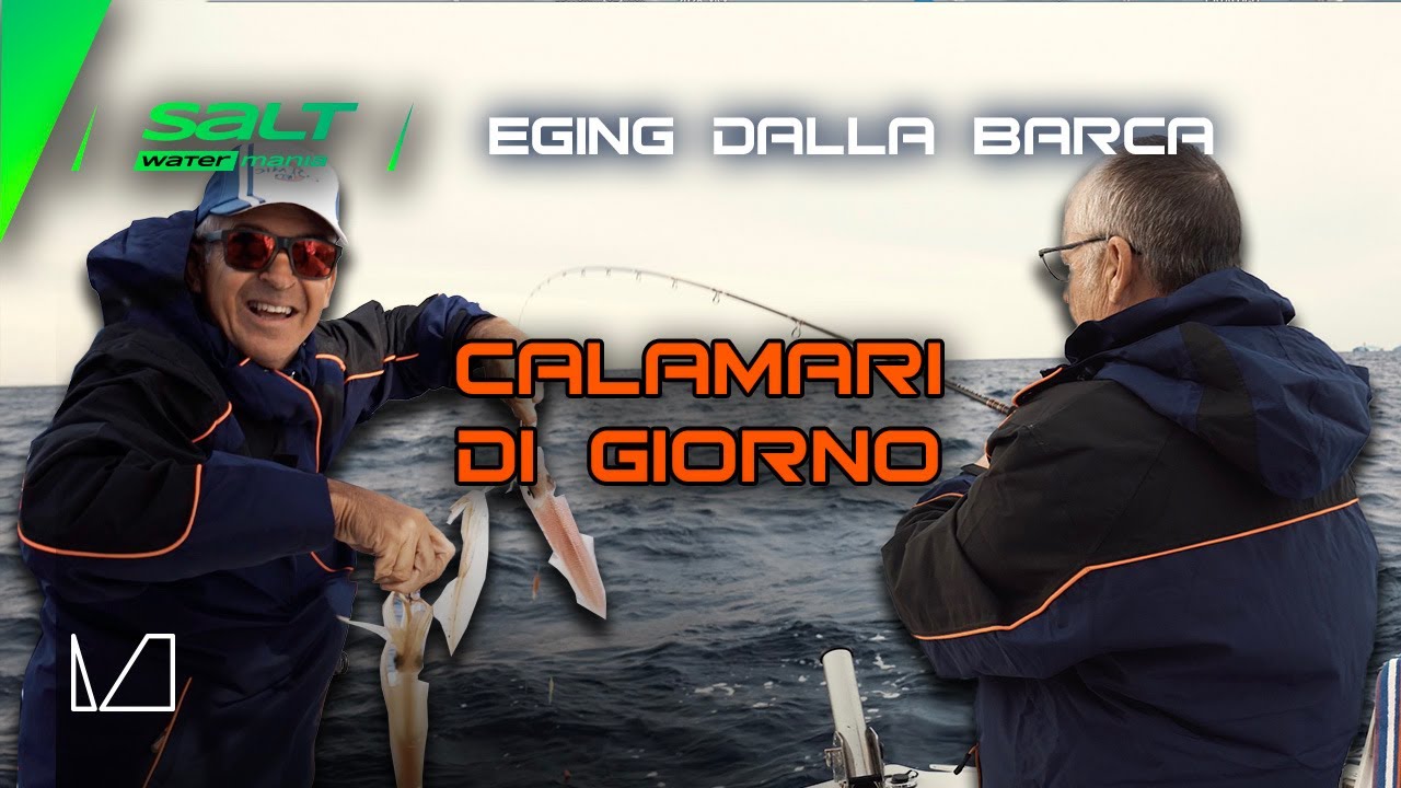 CALAMARI DI GIORNO - SALT WATER MANIA - EP 18 - COLMIC
