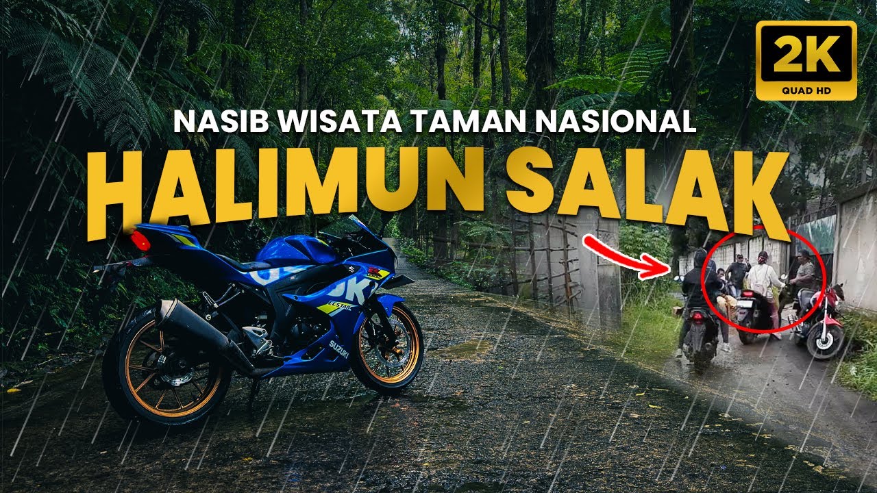 BENERAN ADA PUNGLI DI WISATA BOGOR?? | Taman Nasional Gunung Halimun Salak #eps1