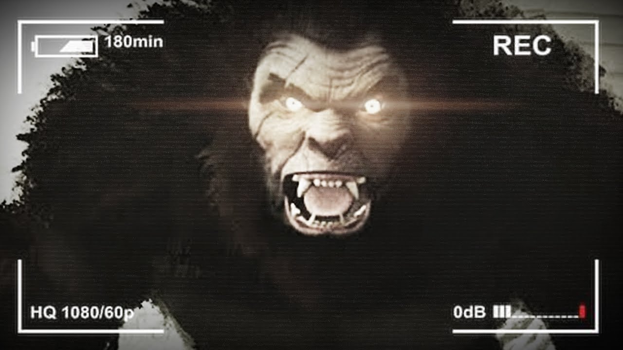 BIGFOOT znowu POWRACA