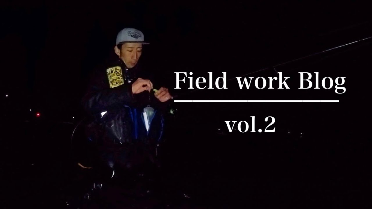 【blog】爆風激流シーバス修行
