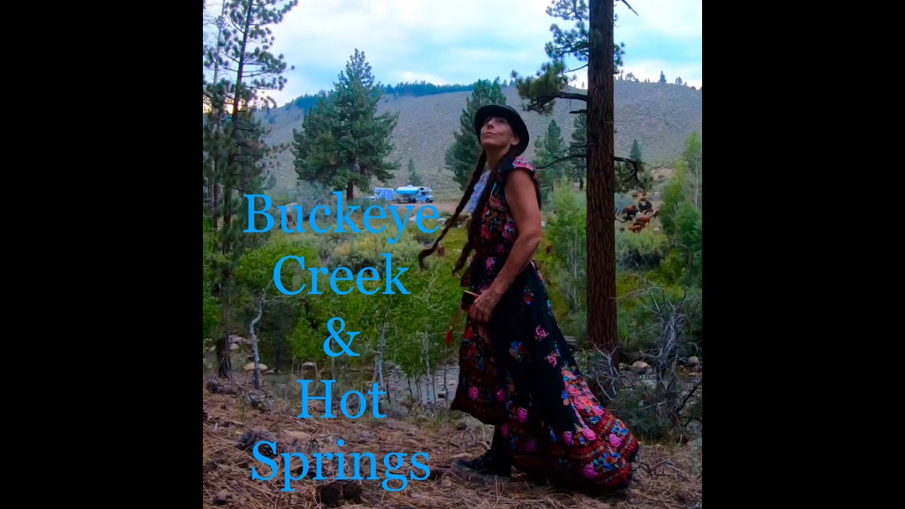 Buckeye Creek ~ Twin Lakes Ca