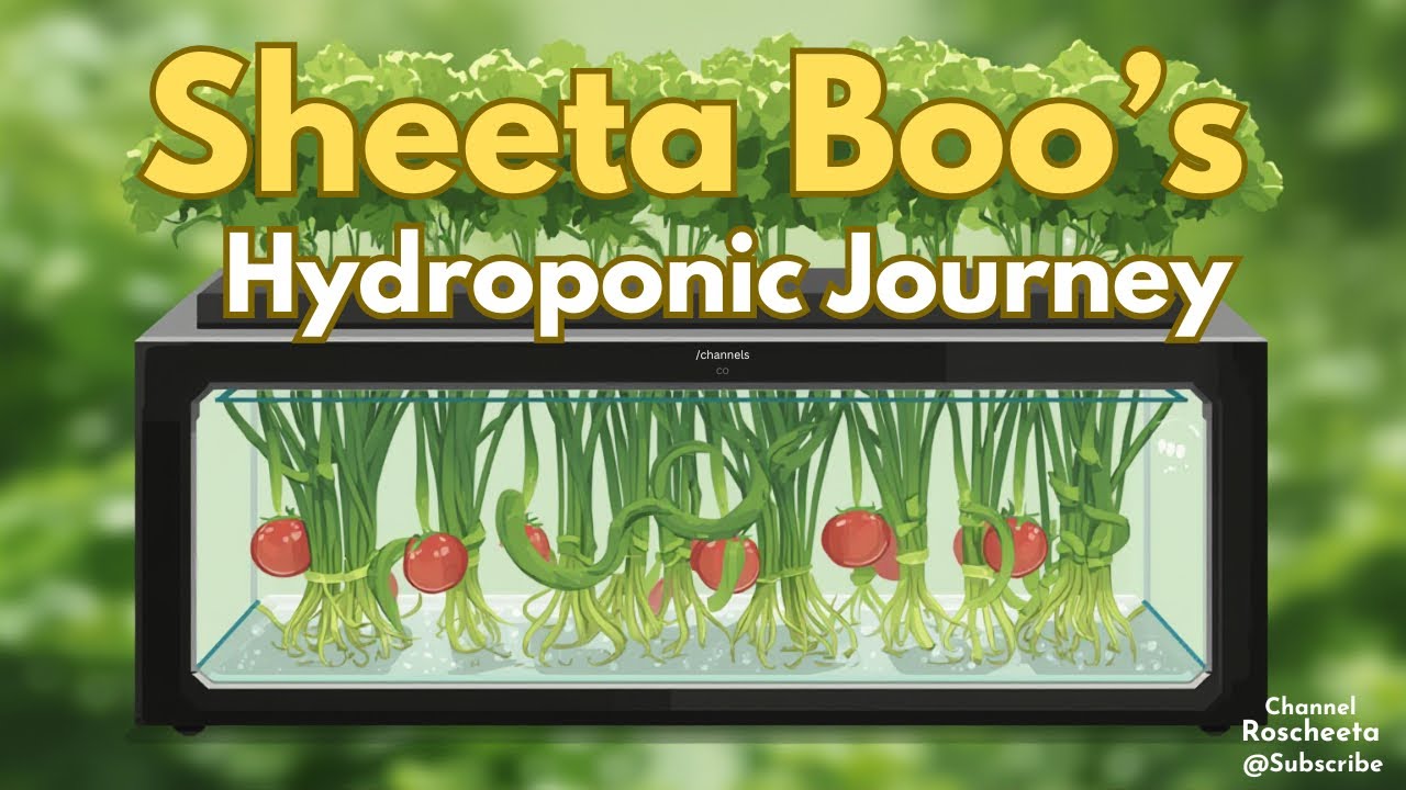 02-25-2026 Live! Hydroponic and #wig2025 update 