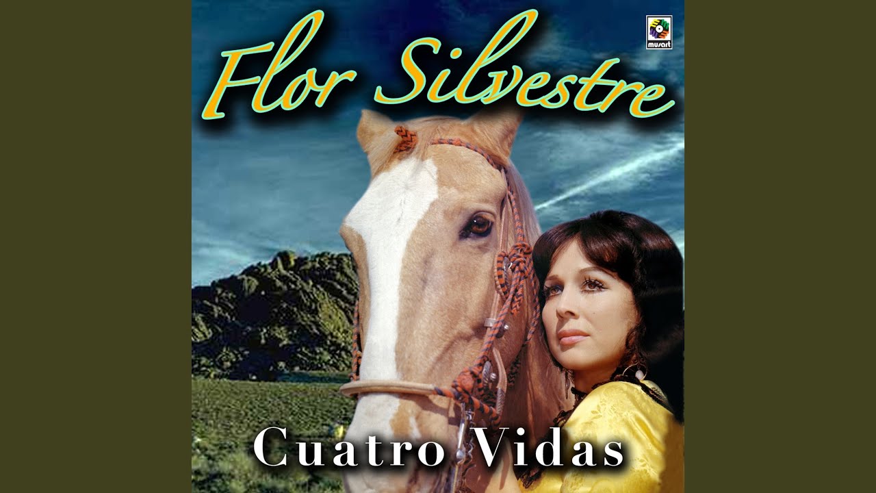 Un Jarrito