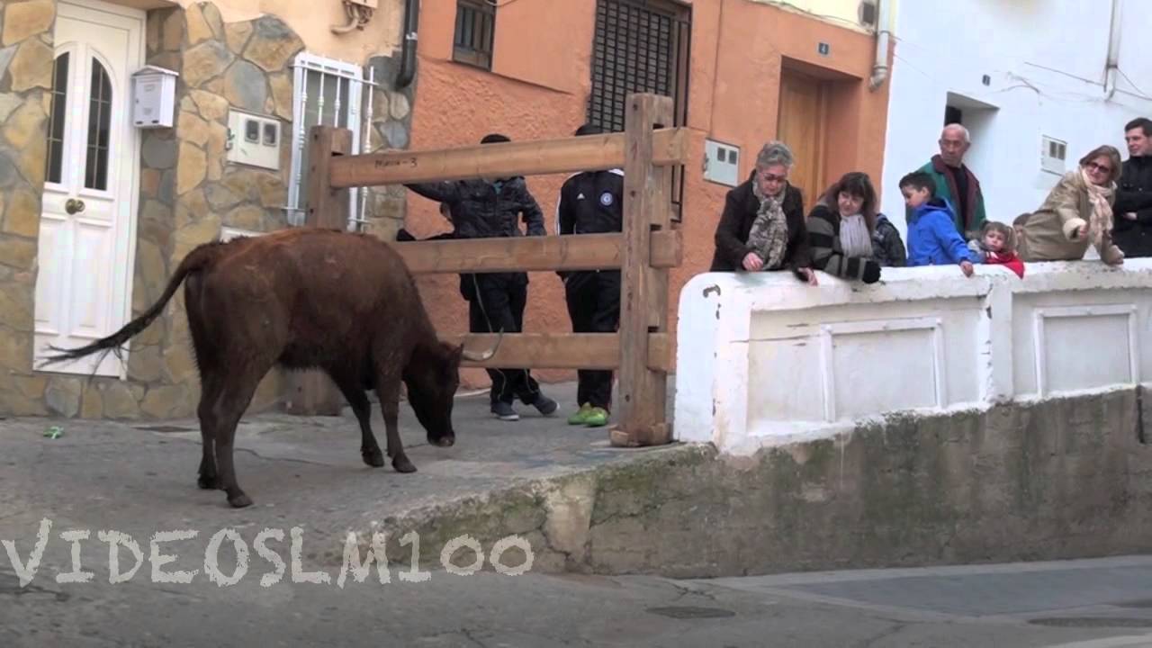 AUTOL encierro mañana 10 febrero 2013