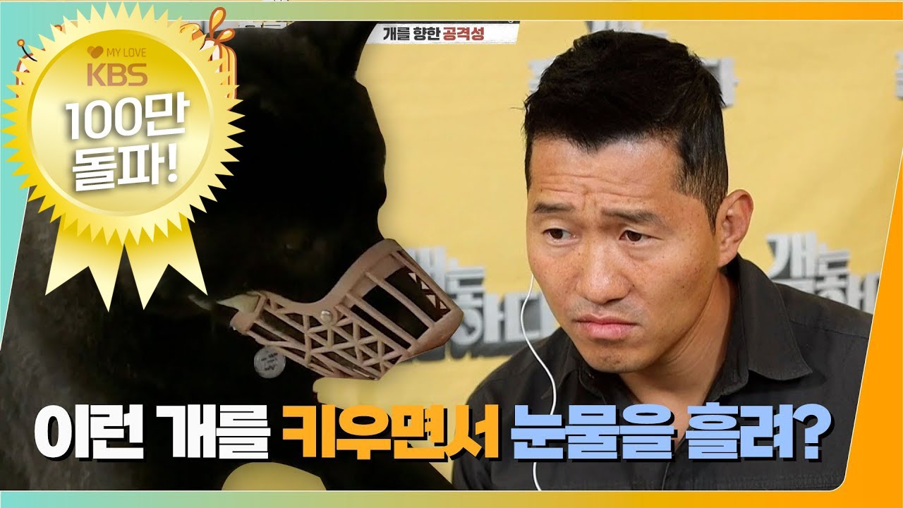 [#개는훌륭하다] 온몸을 비틀어대며 위협적으로 짖는 차우차우믹스 '차웅이'!  🐶 이런 개를 키우면서 눈물을 흘려?ㅣKBS 211115방송