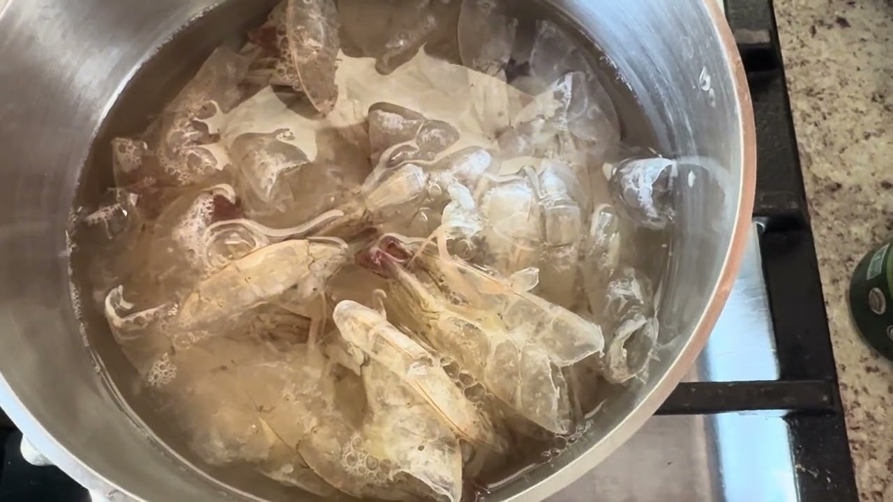 Caldo de camarón hola soy nueva en esto , sean buenos conmigo 🤣#recetas #camarones 
