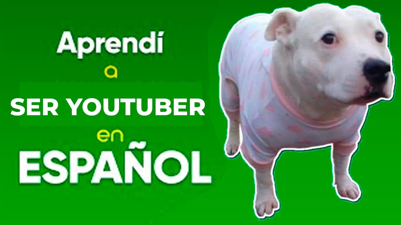 MEXICAN L&Oacute;PEZ te ense&ntilde;a a ser YOUTUBER