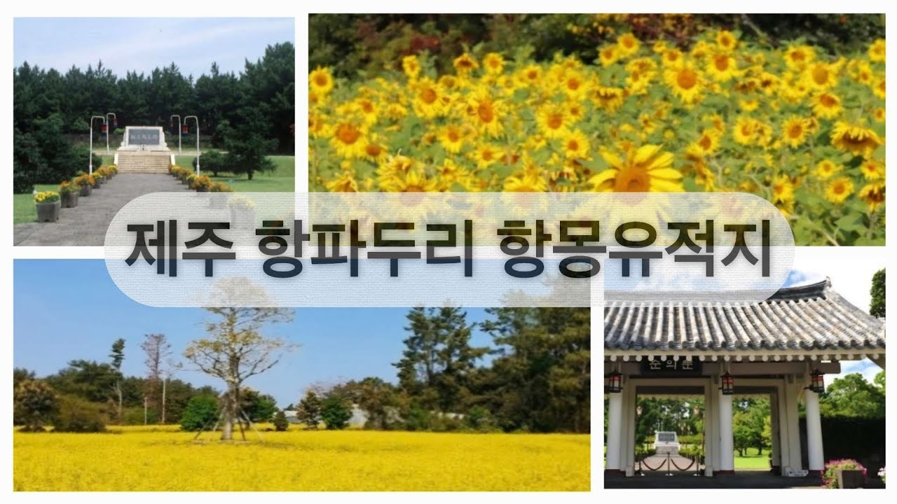 7월 좋은날 #6/항파두리 항몽유적지/중식당 라이진/허니베리카페/심심하게 구경하기