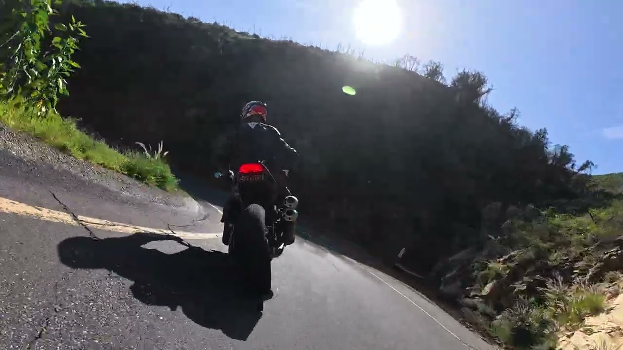 Sunday Feb 1, Max down Tuna Canyon Road