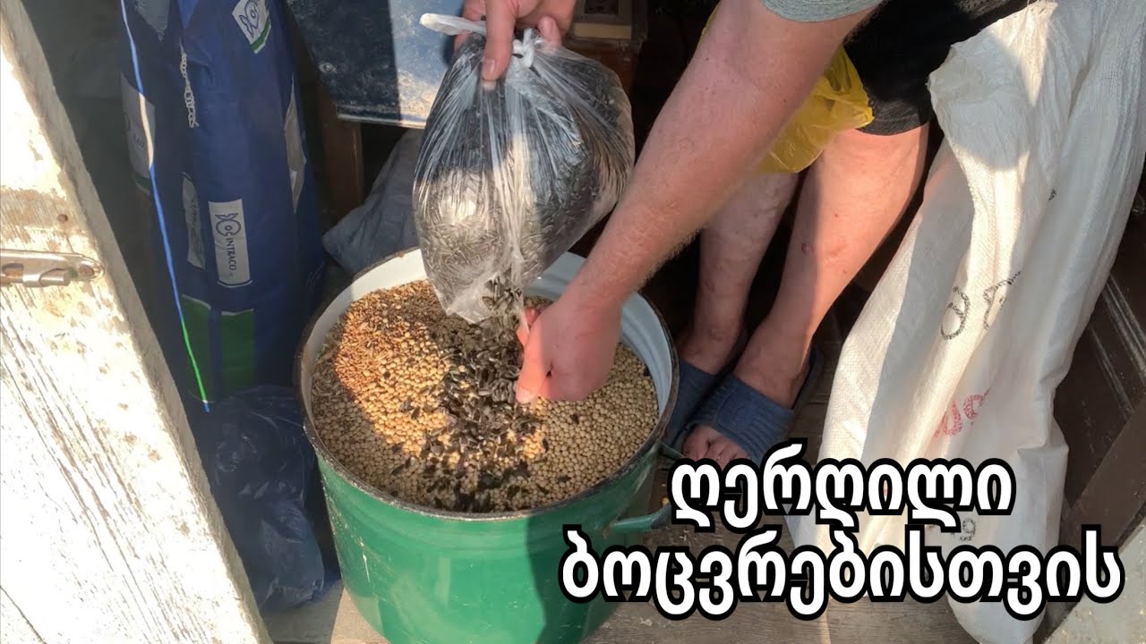 ღერღილი ბოცვრებისთვის 🐇🐇
