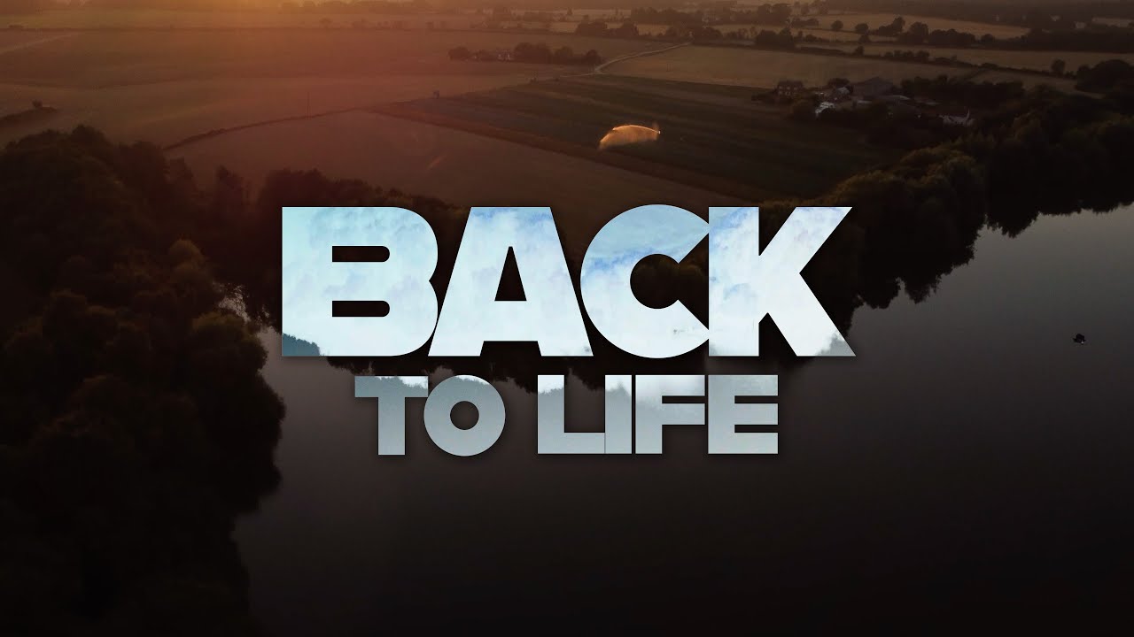 Vekken - Back To Life (Official Music Video)