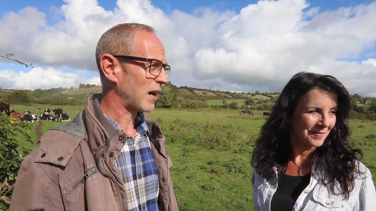 Plant 2,020 Trees IN 2020 - Langport