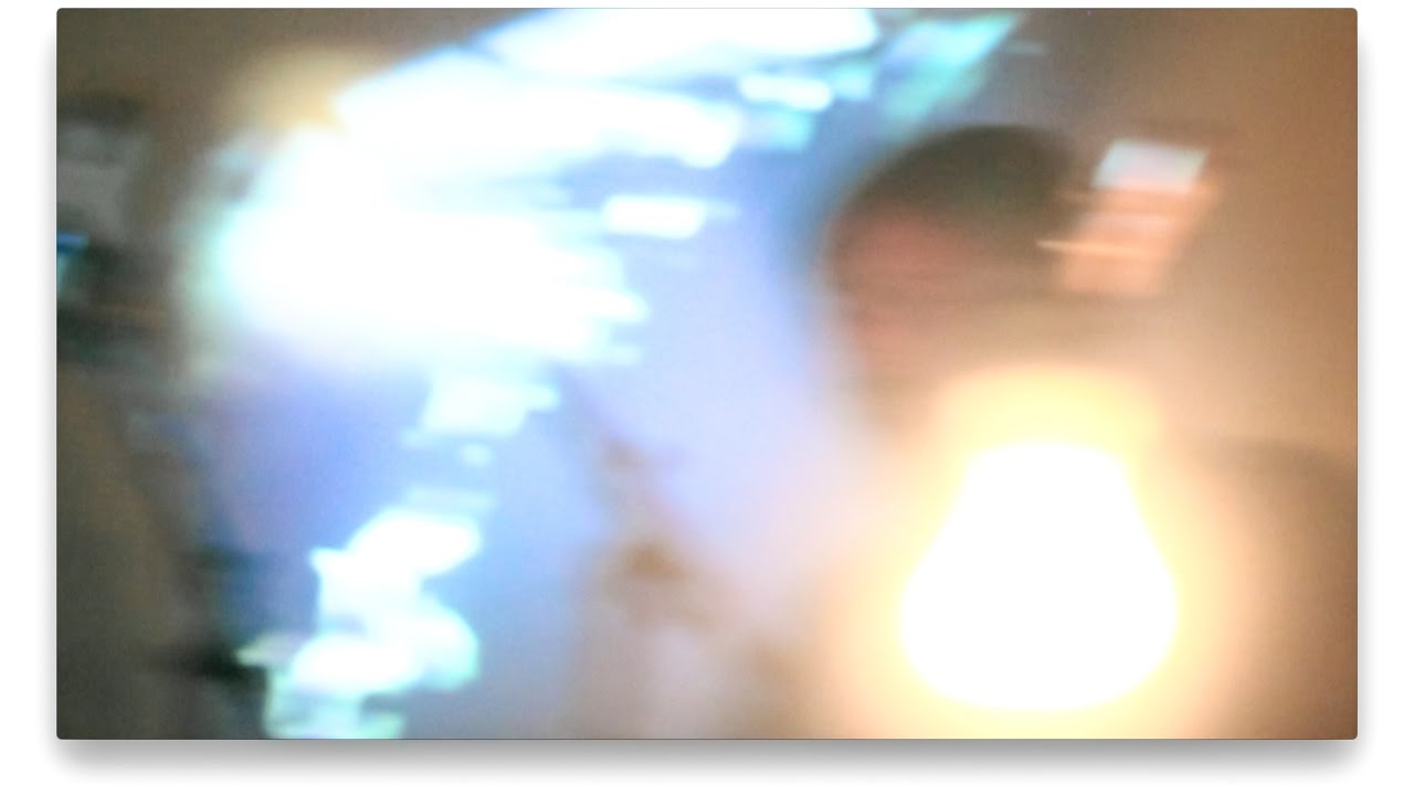 Bald Uakari | Steady Grounds 09