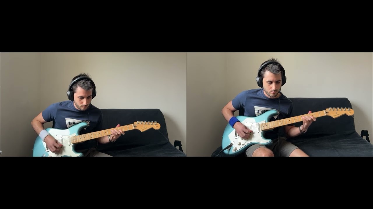 Lynyrd Skynyrd / FREE BIRD SOLO GUITAR COVER