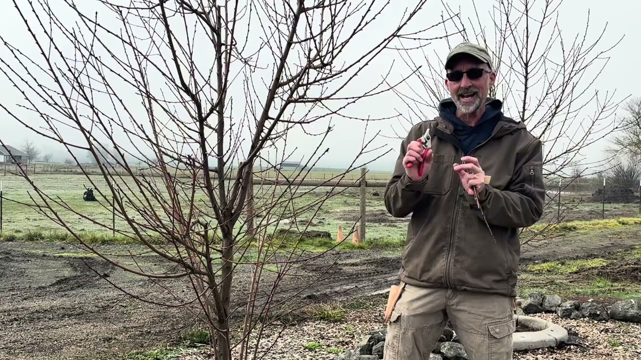 Mtl nursery pruning tips with Matthew 