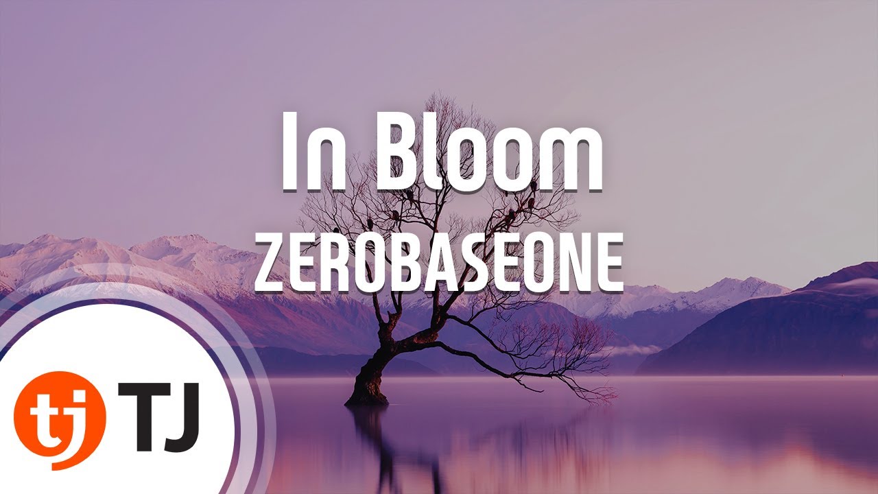 [TJ노래방] In Bloom - ZEROBASEONE / TJ Karaoke