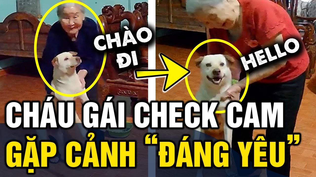 Dễ thương cháu gái mỗi ngày check cam đều thấy cảnh 'TUỔI THƠ TUỔI GIÀ' xem mà ấm lòng | Tin 3 Phút
