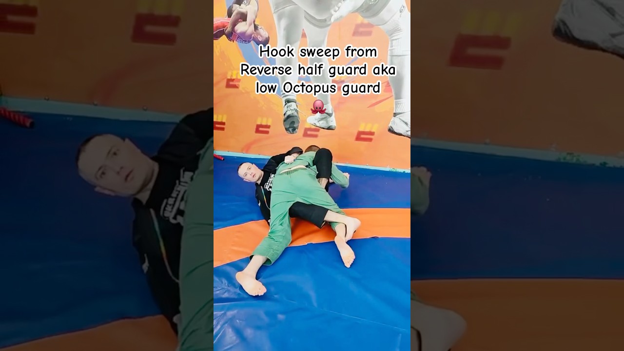 Octopus guard - Elevator sweep variation - Brazilian Jiu Jitsu #bjj #jiujitsu #bjjlife #jujitsu