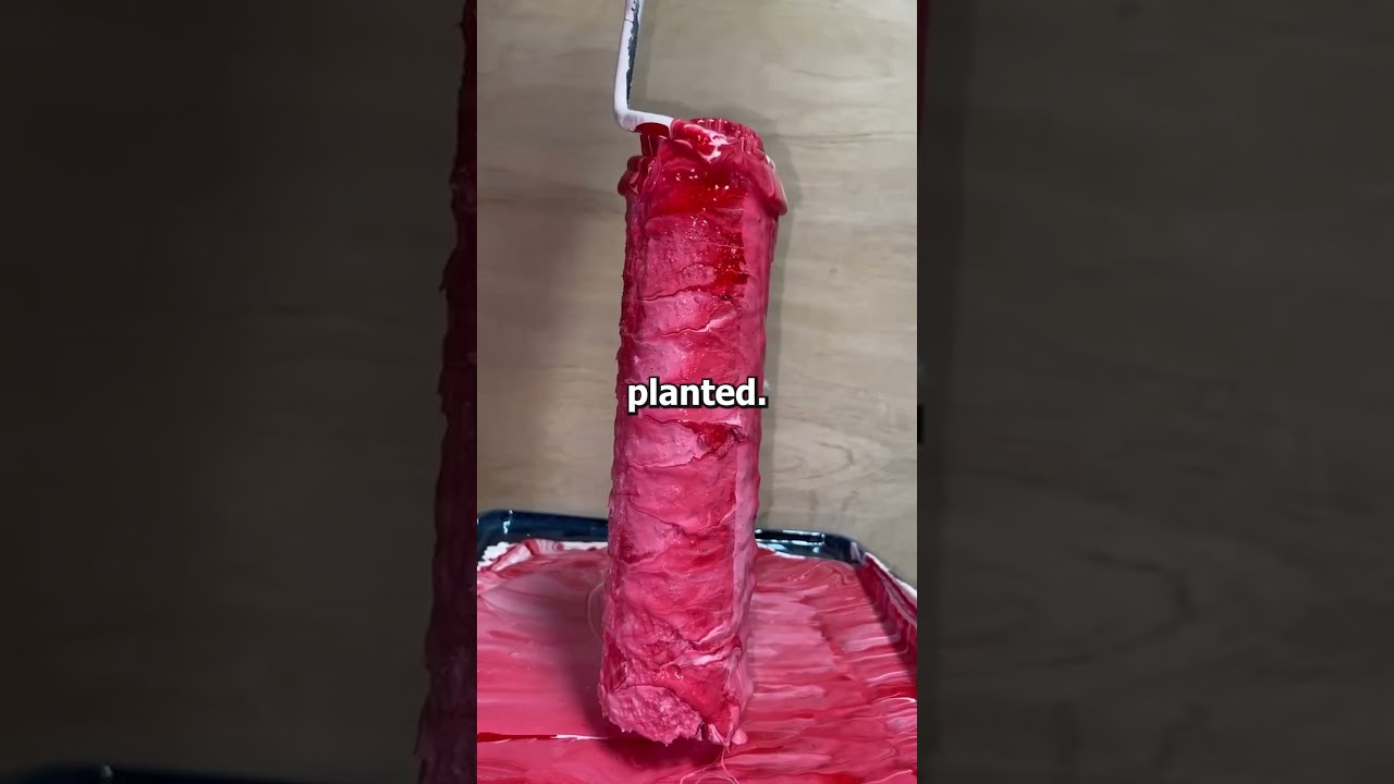 What is the best revenge you've dished out?