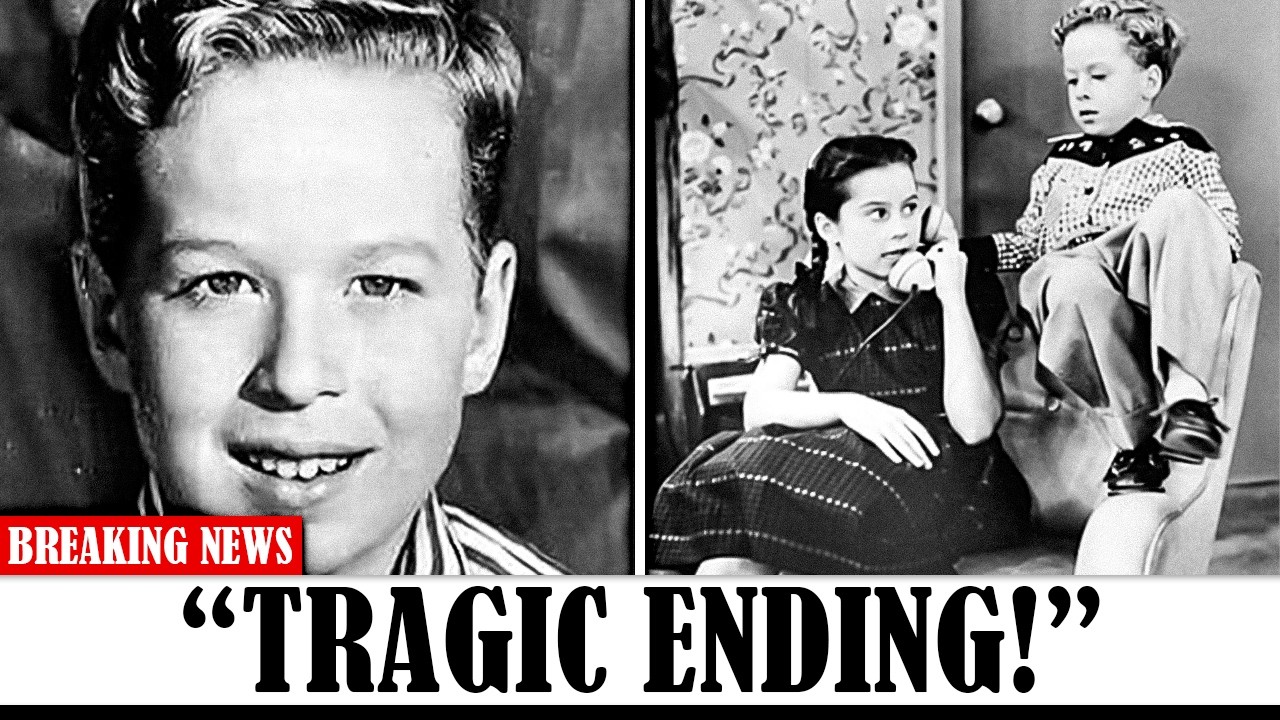 20 самых трагичных историй забытых голливудских звезд 1960-х годов