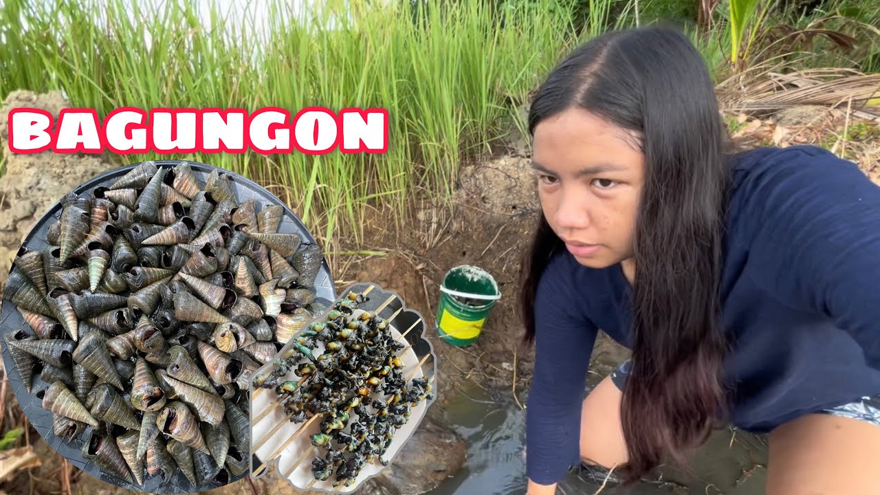 CATCHING BAGUNGON (TELESCOPE SHELL)